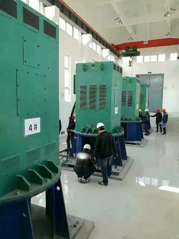 宜州某污水处理厂使用我厂的立式高压电机安装现场
